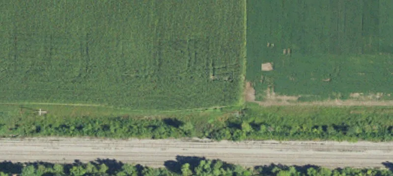 Mile Rd Garfield 9