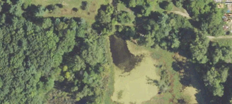 12135 State Rd
