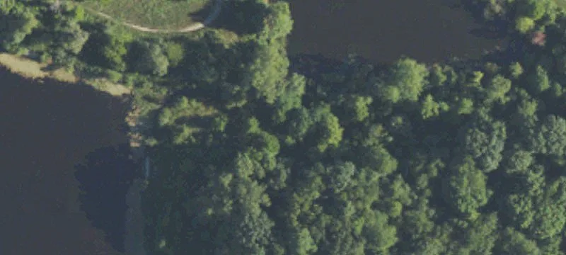 Cedar Park Dr