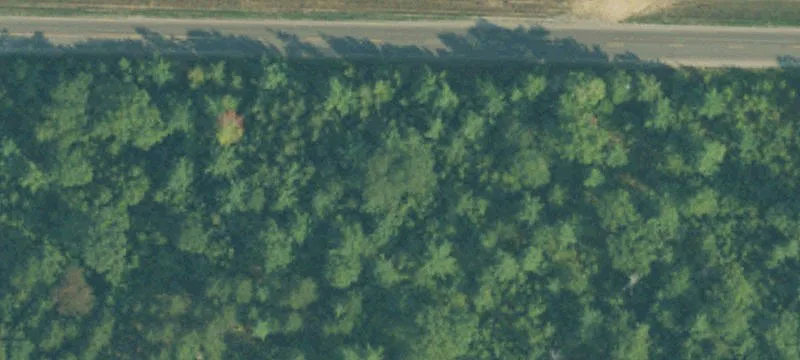 Onaway, MI 49765