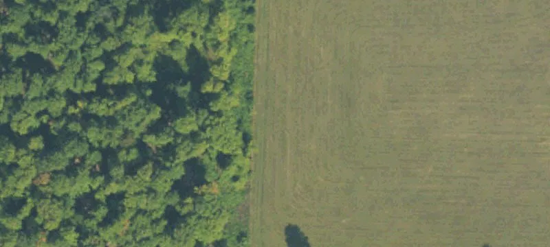 Millersburg, MI 49759
