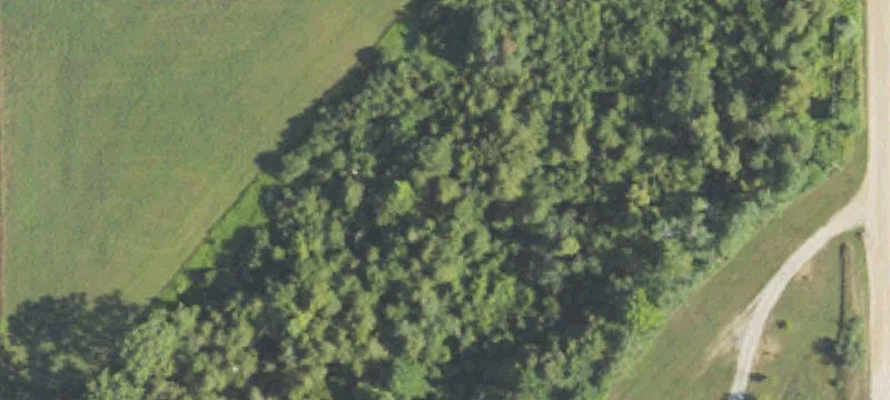 Kuehn Rd