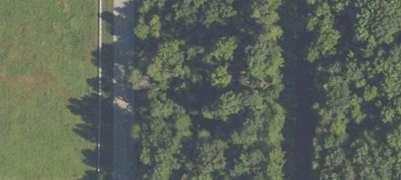 Woodhouse Dr