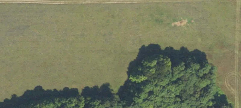 Robinson Rd
