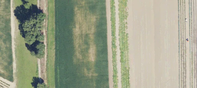 31 Mile Rd