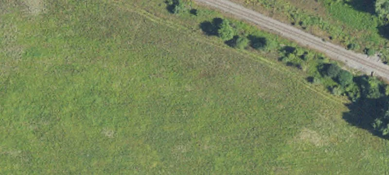 5 Mile Rd