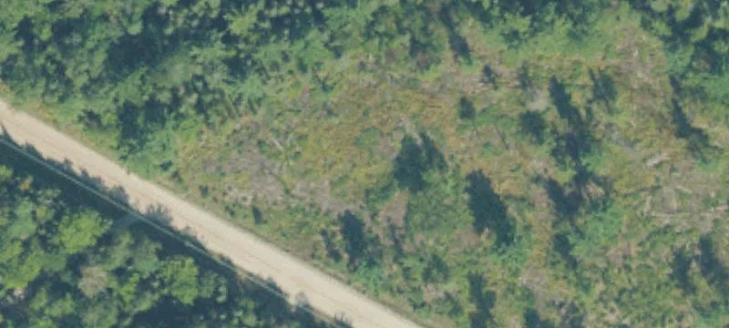 Onaway, MI 49765