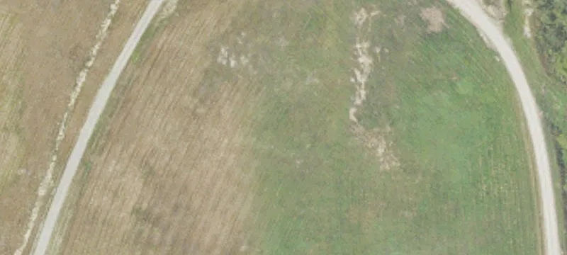 31 Mile Rd