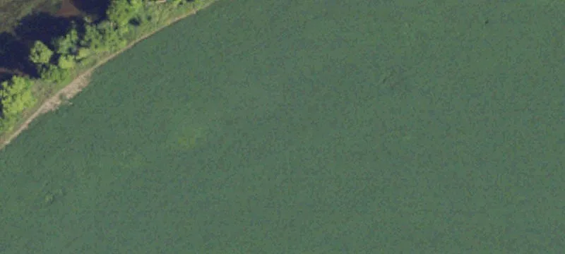 12000 Sharon Rd