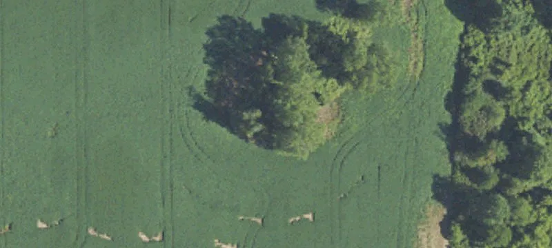 4139 17th Mile Rd