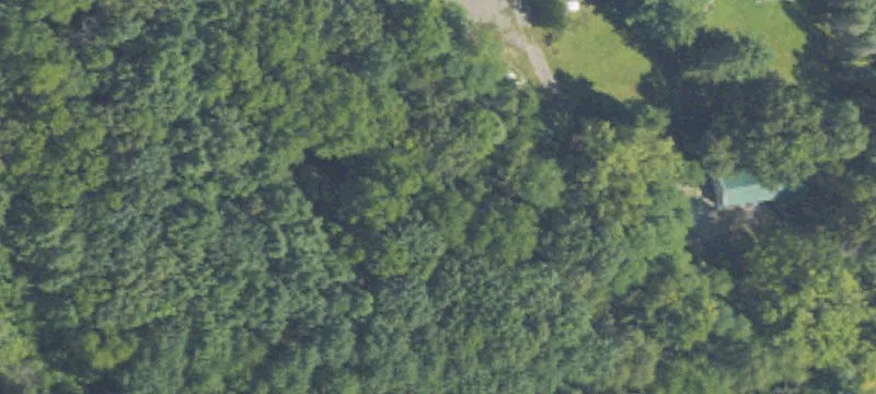 8101 Us Hwy 12