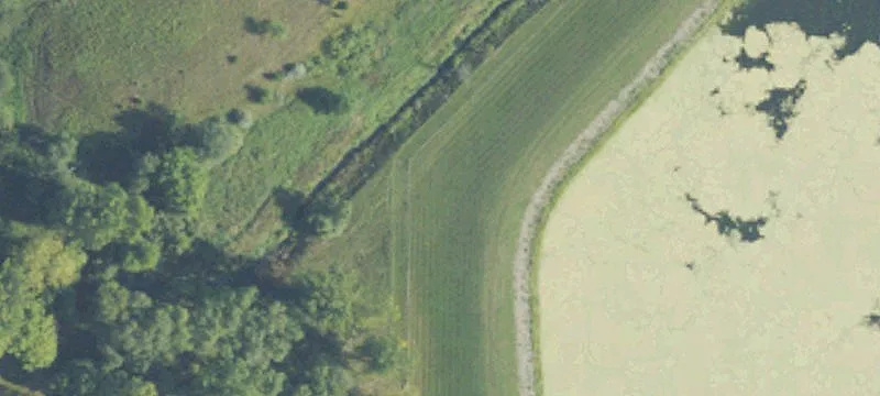 Doyle Rd