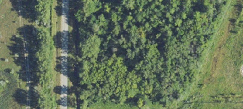 Outer Dr