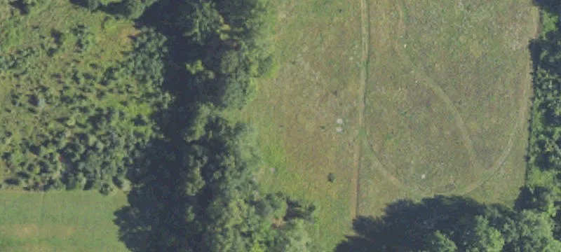 10000 5 Mile Rd