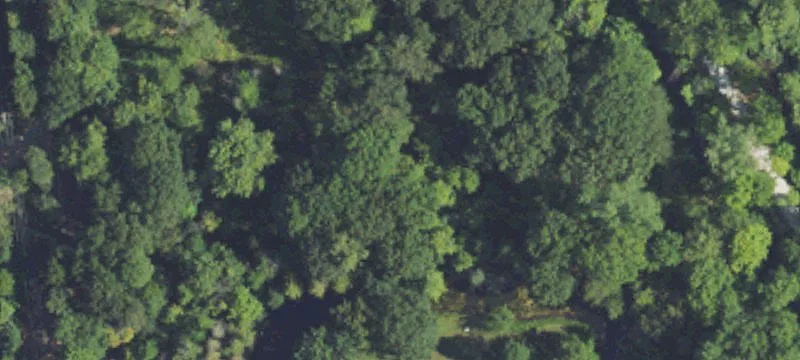 Rochester Hills, MI 48306