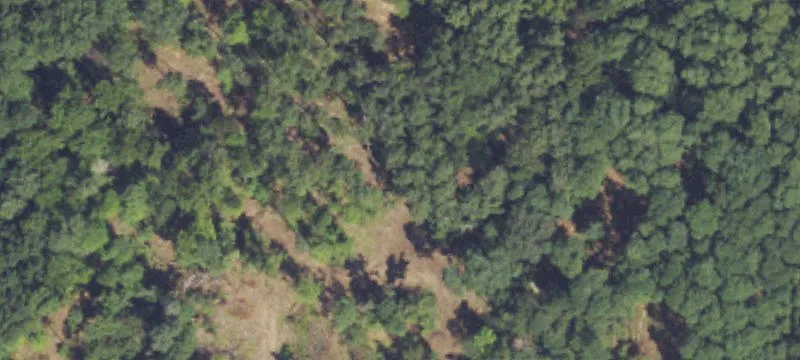 6200 Spg Arbor Rd