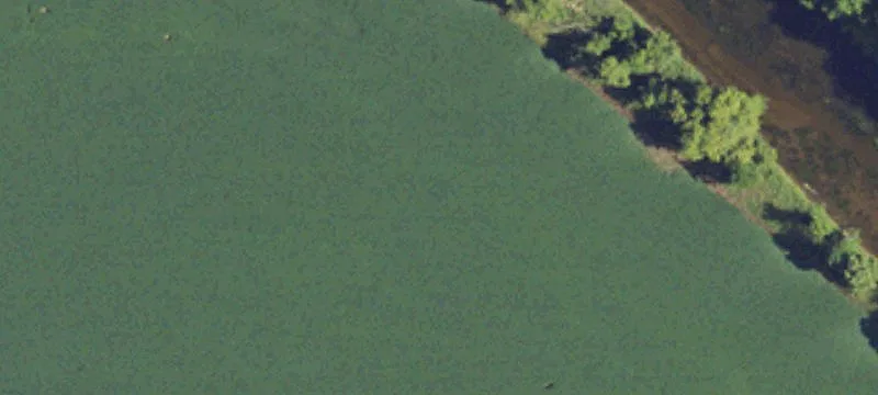 11000 Ditch Rd
