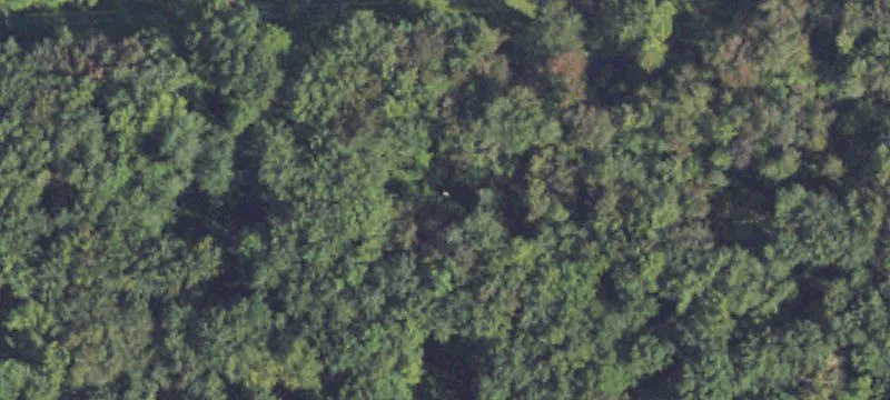 3900 7th Mile Rd