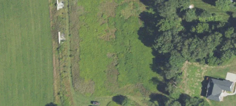 56400 10th Mile Rd