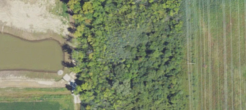 12445 28th Mile Rd