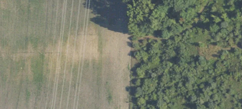 15000 Townline Rd