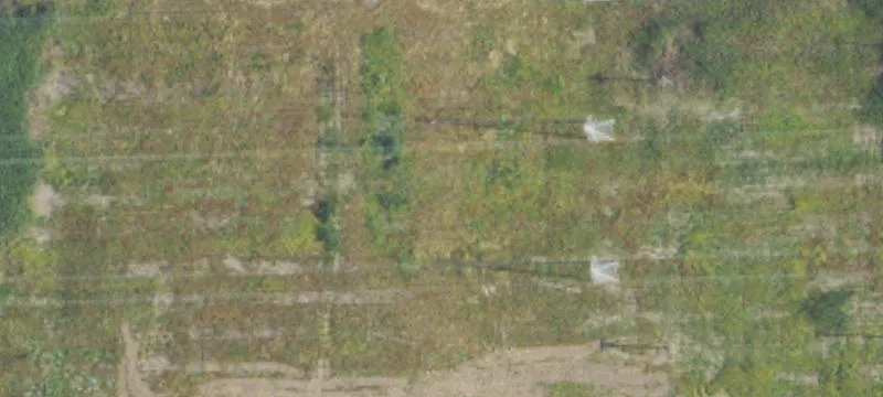 1901 Van Horn Rd