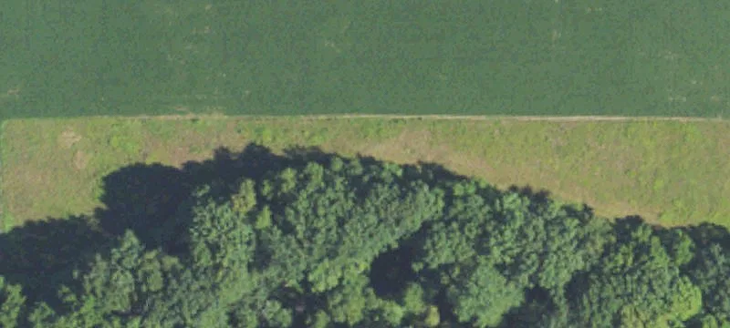 1200 Ditch Rd
