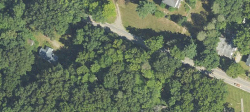 20175 Williamsville Rd
