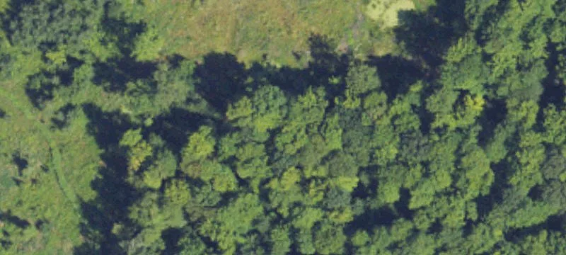 8250 14 Mile Rd