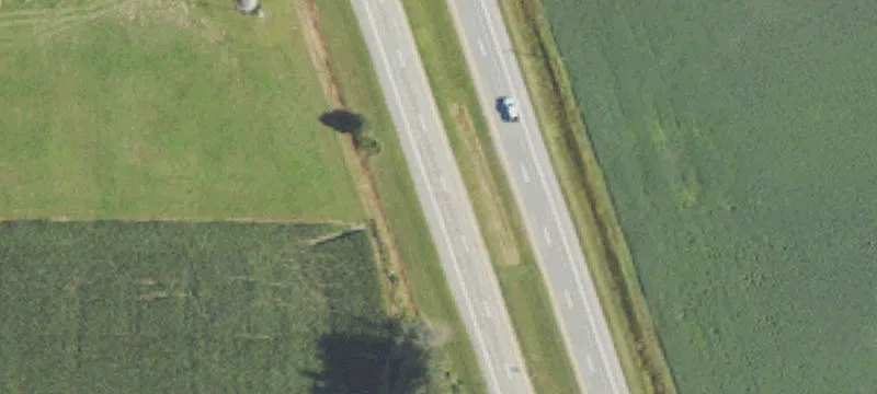 Vassar Rd