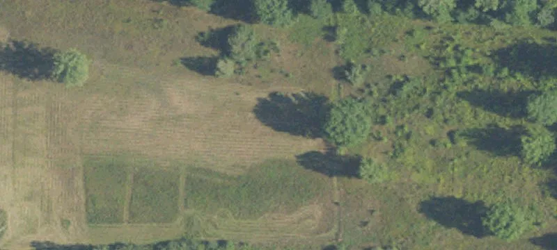 Raucholz Rd