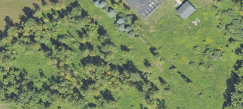 2976 Williamston Rd