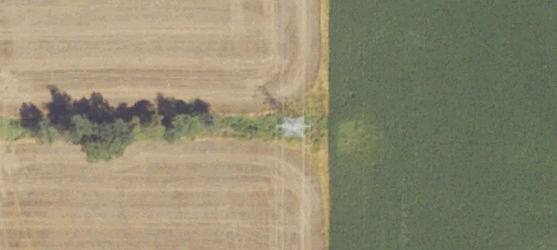 Snyder Rd