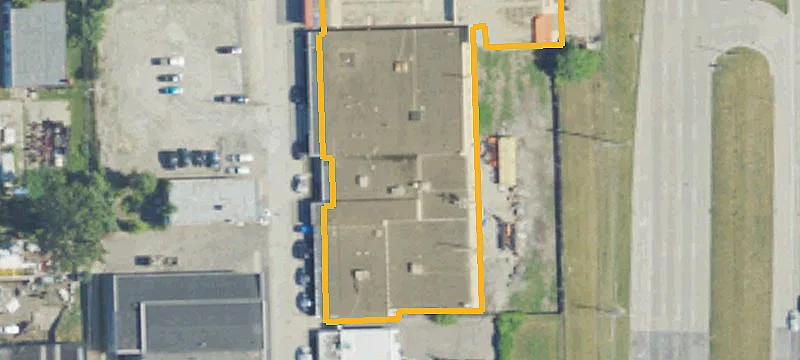 Woodbine