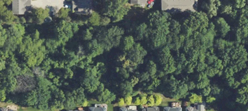 Van Dyke Ave