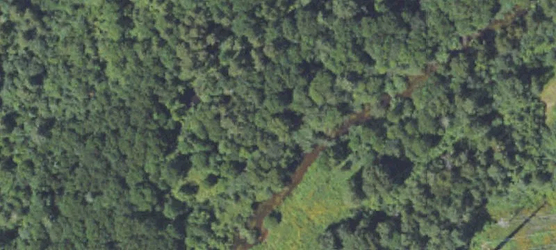 Mining Property