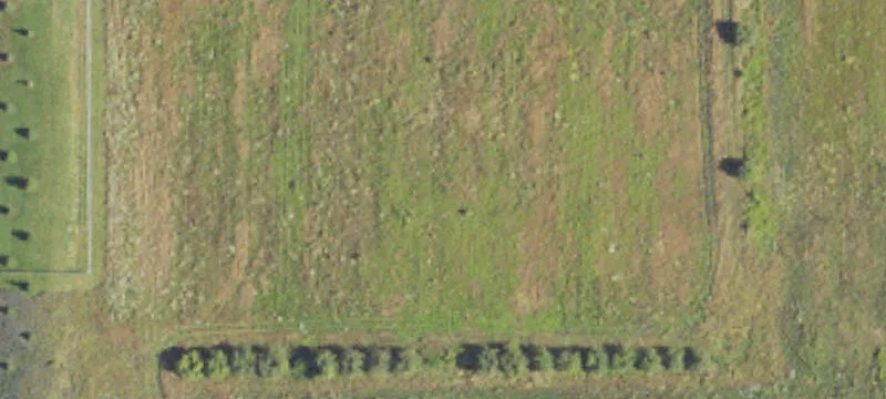 979 7th Mile NW Rd