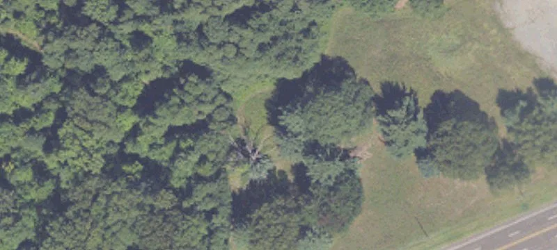 Us 12