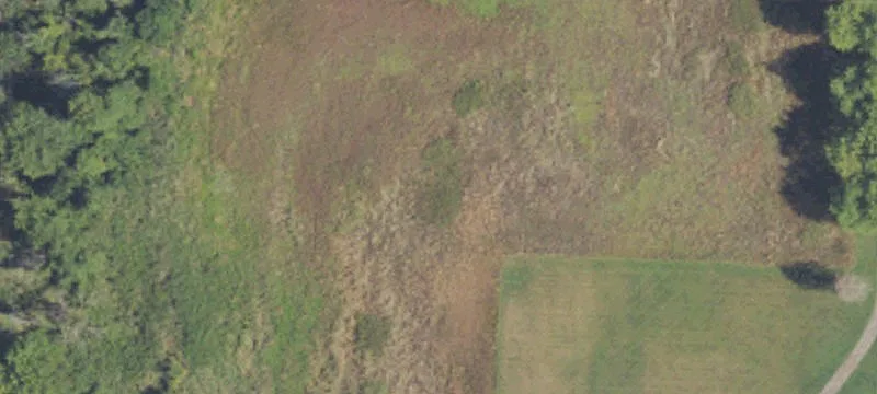 7837 Grand River Hwy