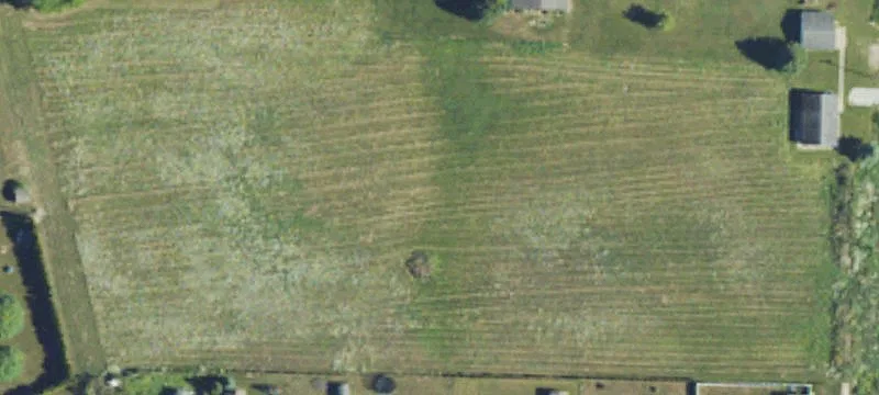 11 Mile Rd