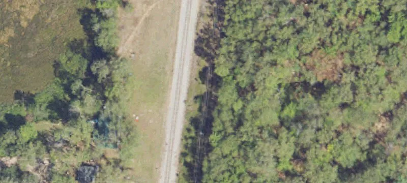Bitely, MI 49309