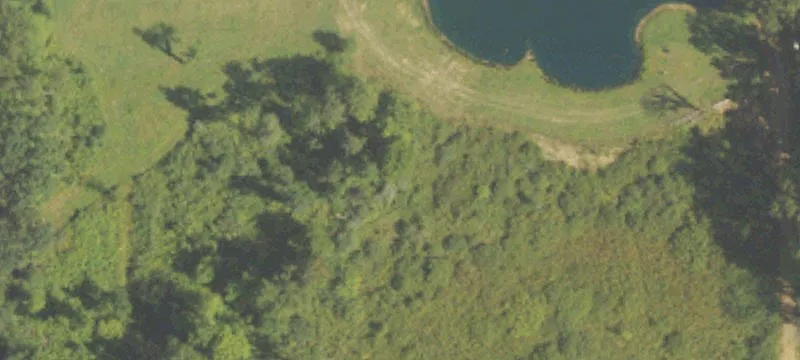 2546 O S Dr