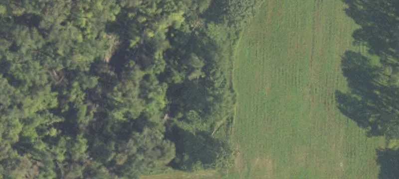 15372 Marcellus Hwy