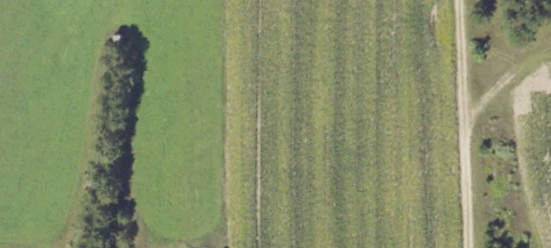 8310 M 37