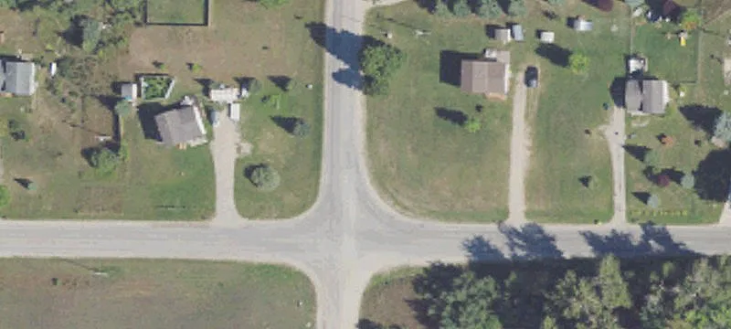 Lynx Ln