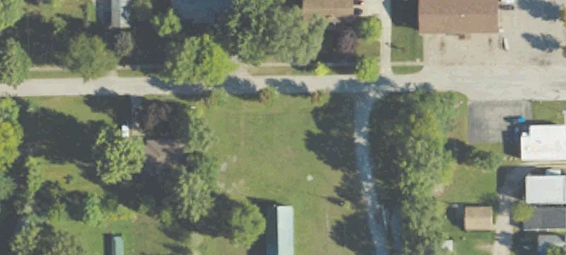 Poplar