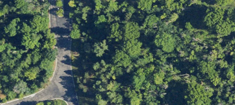 12 Mile Rd