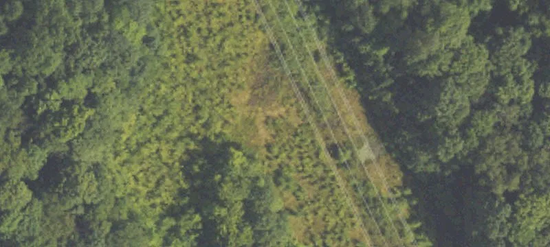 Section
