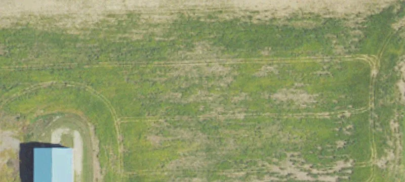 1660 M 13
