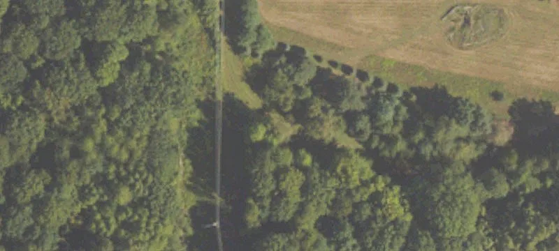 78988 34th Ave